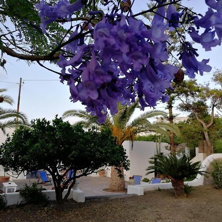 Casa Carlotta Bed and Breakfast Stromboli Buitenkant foto