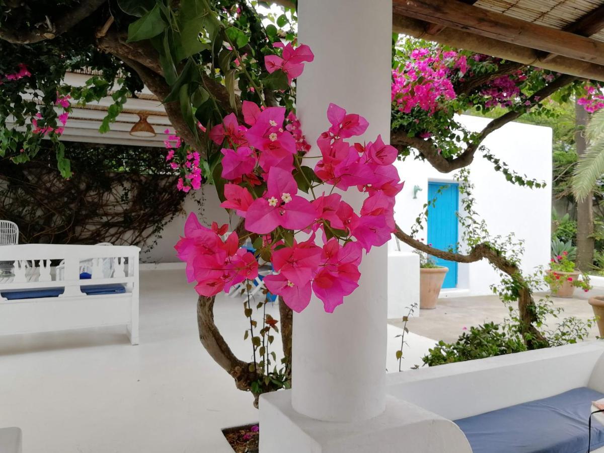 Casa Carlotta Bed and Breakfast Stromboli Buitenkant foto